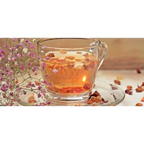 Te Entusiast - te, udstyr & sde lkkerier