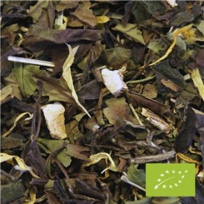 KOLOGISK hvid te med citrus & lakrids