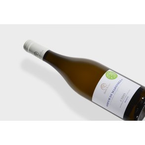 Italiensk hvidvin 12,5% - frisk, toner af blomster & citrusfrugter