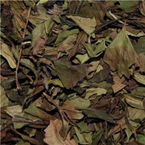 Ren hvid te - Pai Mu Tan