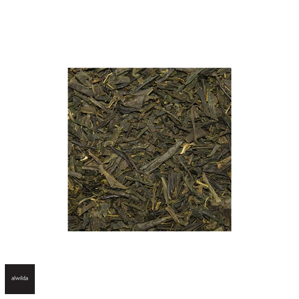 KOLOGISK grn Sencha te