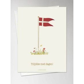 Vissevasse kort - Tillykke med dagen, 10,5x15 cm. I foliepose